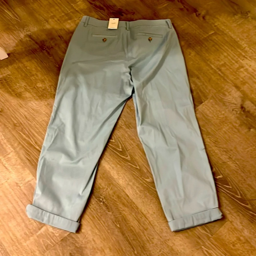 JJill Live in Chino roll up pants NWT - Picture 5 of 6